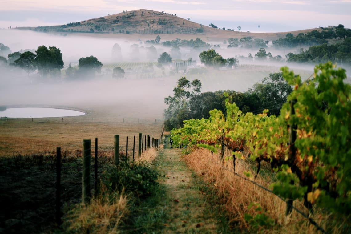 Cré Estate Vineyard